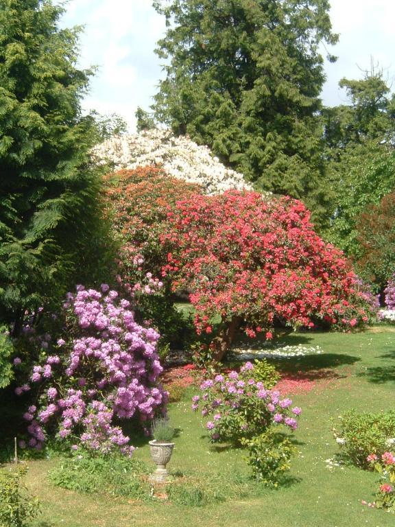 Bruce Castle Bed and Breakfast Brix Εξωτερικό φωτογραφία